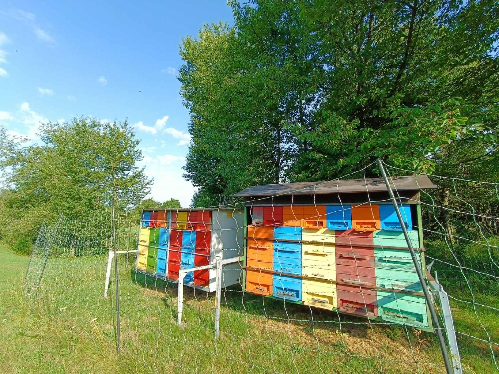 Apartma Mihatovi Pivka Exterior foto